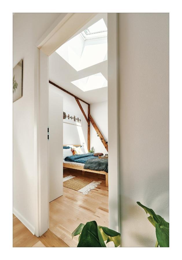 Sunny Apartment At The Heart Of Old Town 克拉科夫 外观 照片
