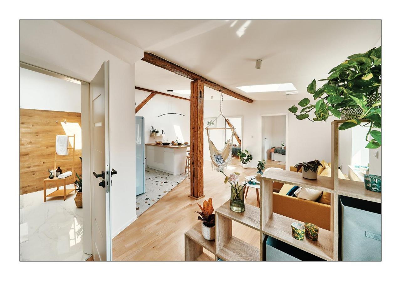 Sunny Apartment At The Heart Of Old Town 克拉科夫 外观 照片